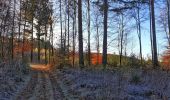 Tour Wandern Viroinval - Balade dans le Viroinval - Le Mesnil - Photo 2