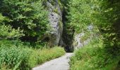 Trail On foot Riva del Garda - Sentér di Cima Nara - Photo 3