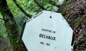 Randonnée Marche Rochefort - La promenade du Gouffre et des rapides de la lesse (les bouvreuils) - Photo 2
