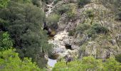 Trail Walking Roquebrune-sur-Argens - SityTrail - Les 25 ponts-Roquebrune sur Argens-28-01-22 - Photo 14