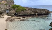 Excursión Senderismo Anse-Bertrand - Guadeloupe - Pointe de la Petite Vigie à Pointe de la Grande Vigie - Photo 4