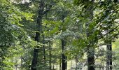 Excursión Senderismo Apeldoorn - Balade dans la forêt près de l’hôtel Echoput - Photo 2