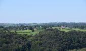 Tocht Stappen Limburg - Limbourg BIO 7,5 km le 29-07-2024 - Photo 14