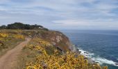 Trail Walking Bangor - port cotton,Locmaria - Photo 1