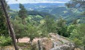 Trail Walking Aubure - Aubure  - Photo 1