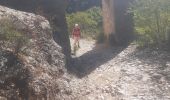 Trail Walking Saint-Maurice-Navacelles - Le randas st guilhem le désert  - Photo 2