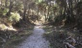 Trail Walking Torroella de Montgrí - Estartit - Photo 3