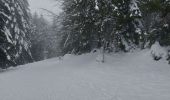 Tour Schneeschuhwandern Gerdsee - Gerardmer raquettes 5 - Photo 9
