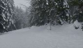 Trail Snowshoes Gérardmer - Gerardmer raquettes 5 - Photo 9