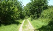 Tour Zu Fuß Hertsmere - Merry Hill Circular Footpath - Photo 4