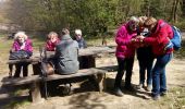 Excursión Senderismo Seyssins - 'les hauts de Roland - Photo 1