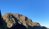 Tour Wandern São Roque do Faial - Pico Ruibo - Photo 20