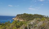 Excursión Senderismo Bormes-les-Mimosas - cabas son estagnol leoube - Photo 2