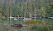 Tour Wandern Servoz - col et lac Anterne - Photo 19