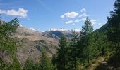 Tocht Stappen Val-d'Oronaye - forts roche croix meyronnes - Photo 1