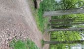 Trail Walking Herent - Winksele 16 km - Photo 6