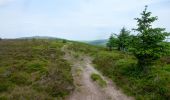 Randonnée A pied Unknown - Black Mountains Fell Race - Photo 6