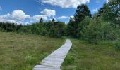 Randonnée Marche Vagney - Tourbières de la Grande Charme - Photo 4