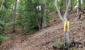 Excursión Bici de montaña Yvoir - GODINNE ... par Roquebrune, la Sibérie et les Tiennes de Rouillon. - Photo 6