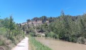 Trail Walking Bize-Minervois - CC_Piemont_AC_03_Bize-Minervois_Homps_20240613 - Photo 3