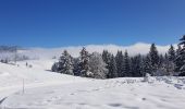 Excursión Esquí de fondo La Rippe - germine - Photo 2