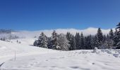 Trail Cross-country skiing La Rippe - germine - Photo 2