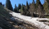 Trail Walking Arâches-la-Frasse - Les Carroz l'Arbaron en boucle - Photo 10