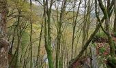 Trail Walking Bouillon - Boucle Corbion - Poupehan - Rochehaut - Crêtes de Frahan - Corbion - Photo 2