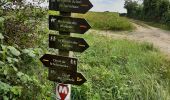 Trail Walking Cousolre - Le canari 04 09 21 - Photo 6