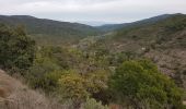 Randonnée Marche Bagnols-en-Forêt - FREJUS - BARRAGE DE MALPASSET DEPUIS COL DE LA GARDIETTE - Photo 4