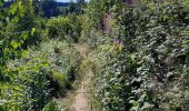 Tour Wandern Malmedy - mdy . belle vue . arimont . boussire . g'doumont . chôdes . mdy  - Photo 10