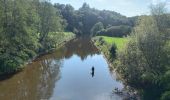 Tocht Stappen Domjean - Rando gorge de la Vire  - Photo 7