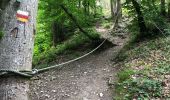 Tocht Stappen Doische - Gr2.6 Vodelée -Hastiere  - Photo 9