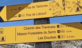 Tour Wandern Digne-les-Bains - Les Dourbes - Barre des Doubes - Photo 9
