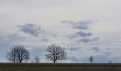 Tocht Stappen Libramont-Chevigny - rando laneuville(libramont)18/02/2021 - Photo 15