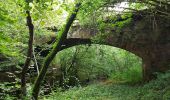 Trail Walking Champagney - Canal souterrain de la Haute-Saône - Photo 10