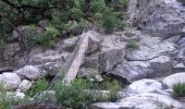 Trail Walking Prévenchères - Gorges du Chassezac au départ de la Garde guérin  - Photo 5