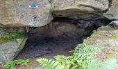 Tocht Stappen Fontainebleau - Fontainebleau sentier Denecourt 9 Est - Photo 6