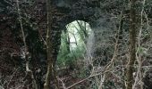 Percorso Marcia Saint-Julien-en-Vercors - le pont du diable - Photo 2