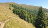 Trail Walking Toblach - Dobbiaco - Silverstertal - Valle San Silvestro - Photo 14