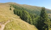 Randonnée Marche Toblach - Dobbiaco - Silverstertal - Valle San Silvestro - Photo 14