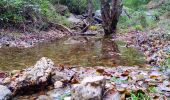 Percorso Marcia Bormes-les-Mimosas - SityTrail - 3043274 - bargeanxchartreuse-verne - Photo 4