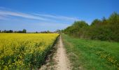 Trail Walking Fondettes - Fondettes - Impro 4 communes - 21.6km 200m 4h40 (30mn) - 2021 04 24 - Photo 2