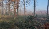 Trail On foot Chapelle-lez-Herlaimont - SJC3 janv.2022 - Photo 2