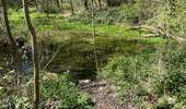 Trail Walking Anderlues - BE-Anderlues - Le Bois du Baron - Tour des Etangs - Photo 13