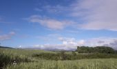 Percorso Marcia Le Robert - Pointe Savane plage des Resignier - Photo 19