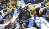 Trail Walking Lepuix - Saut de la Truite - cascade du Rummel - Etang du Petit-Haut - Ballon d'alsace - Photo 3