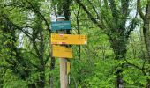 Tour Wandern Les Planches-près-Arbois - la reculée des planches - Photo 4