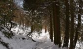 Trail Walking Bütgenbach - butgenbach-tour-du-lac-10-km - Photo 14