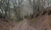 Randonnée Marche Aywaille - remouchamps . deigne . playe . remouchamps  - Photo 8
